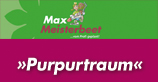Max Meisterbeete - Purpurtraum